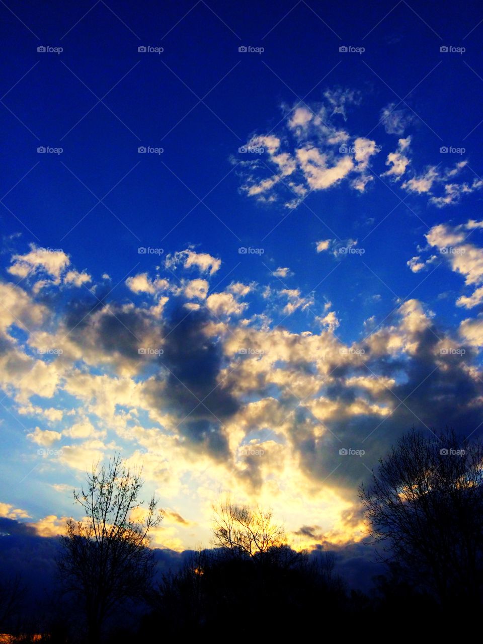 Springtime in Wisconsin