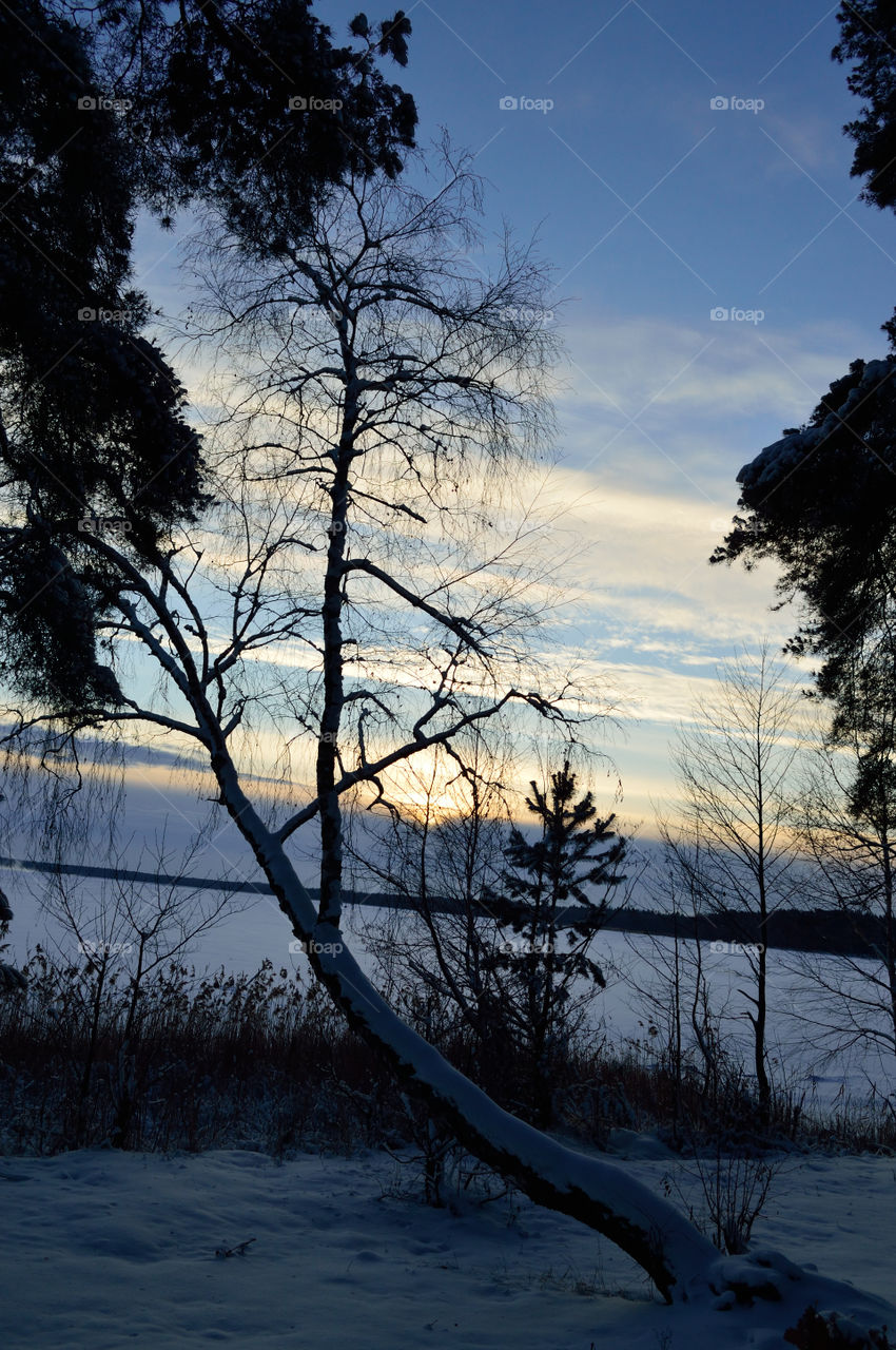 beautiful winter sunrise on the lake
