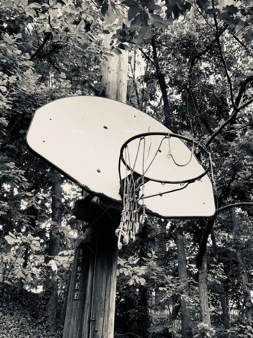 Basketball hoop on a telephone pole with an old, ragged net surrounded by trees. Silvertone, black and white finish. 