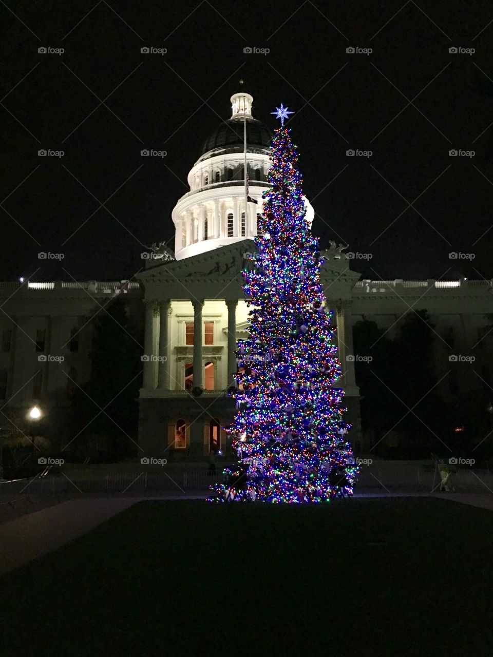 California’s Capital & Christmas Tree