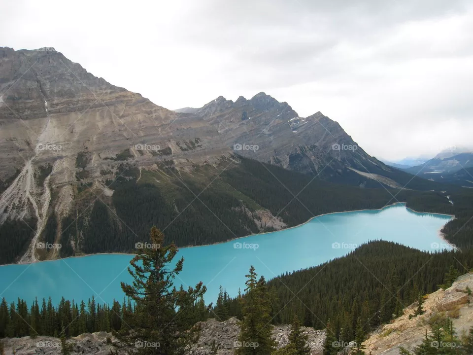 Landscape with lake 