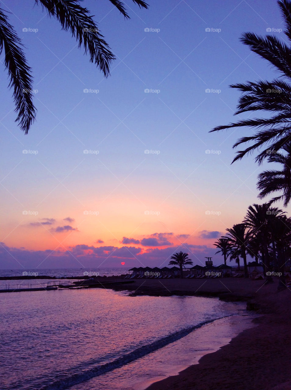 Tropical sunset at the beach with palm trees silhouettes 