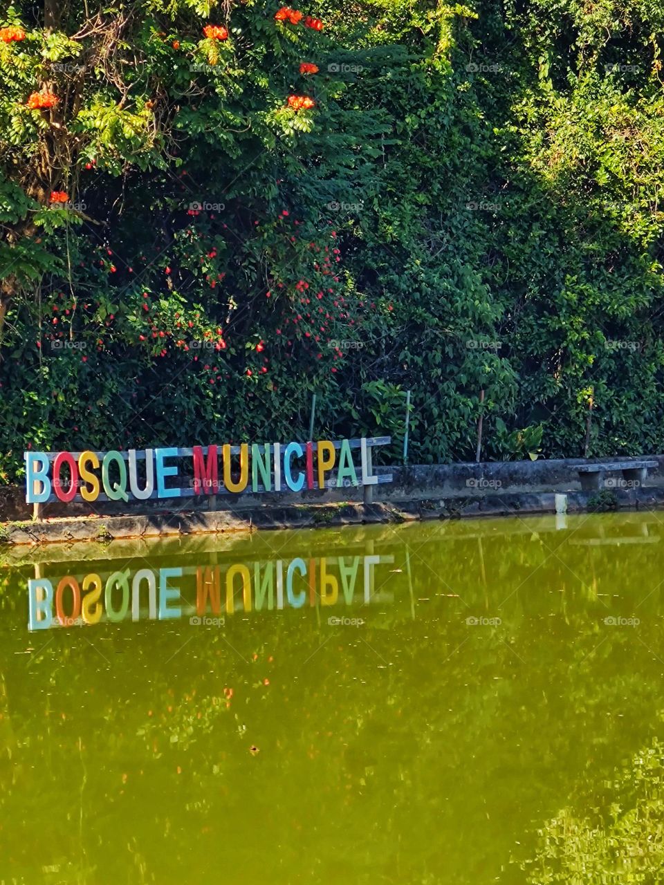 The beautiful green landscape gains a special color from the sign and its reflection in the water.