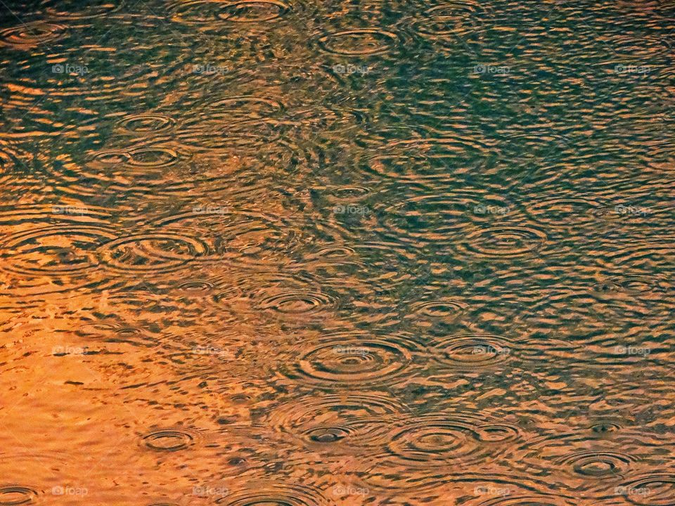 Ripples In Still Water