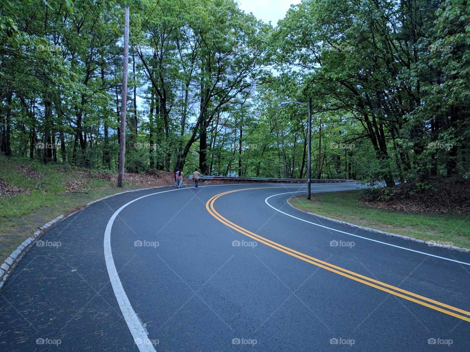 Winding road from through the woods