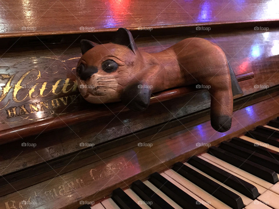 Cat at the piano