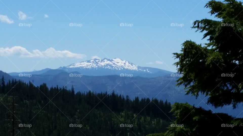 forest layers snow capped mountain