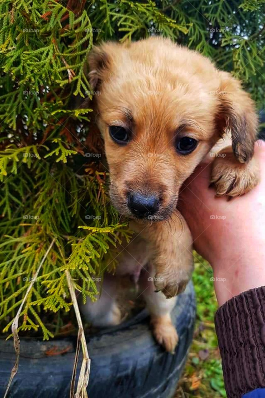 A cute little treasure