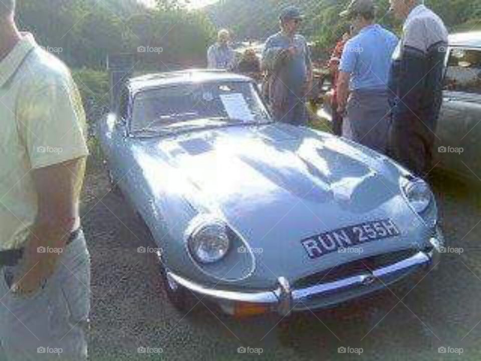 Classy little number