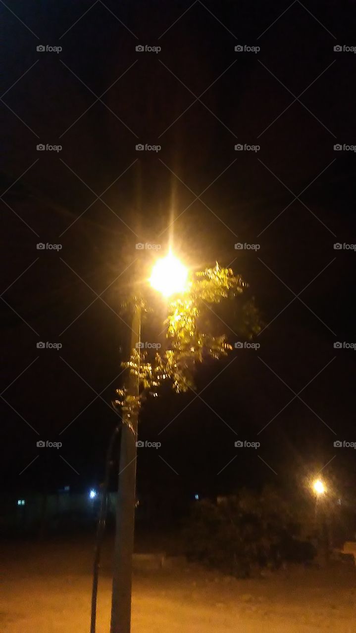light and tree