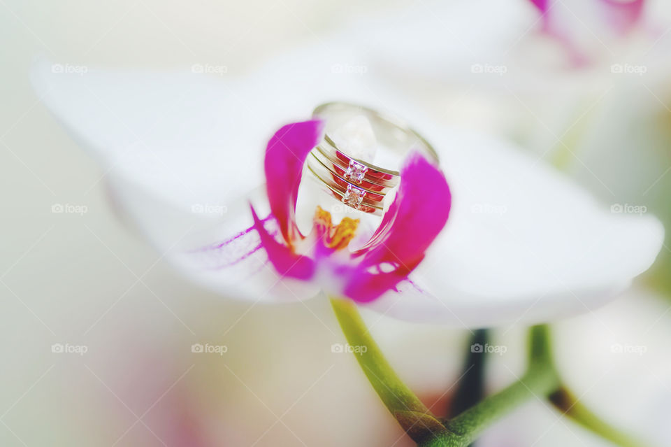 Close-up of silver ring