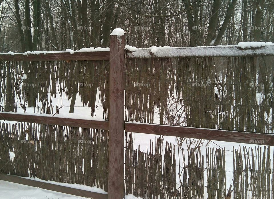 Water, Wood, Winter, No Person, Tree