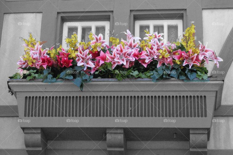 Flower Box