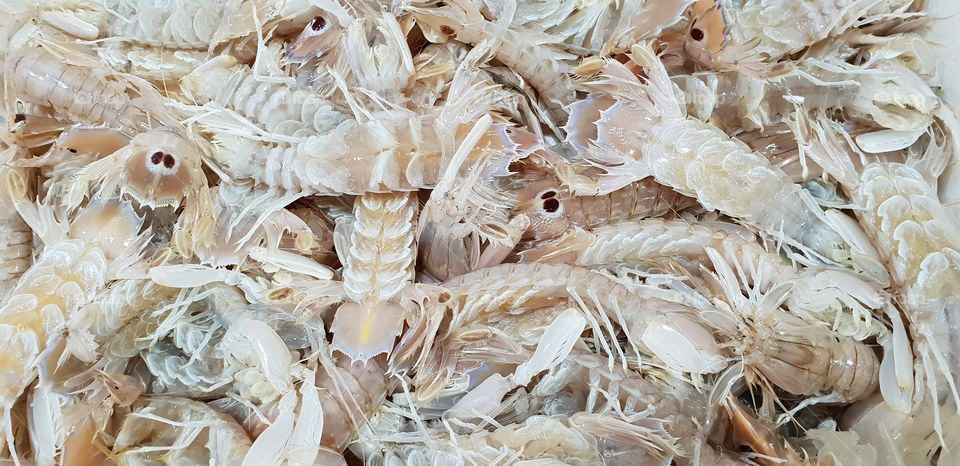 Mantis Shrimps in a box at the fish market