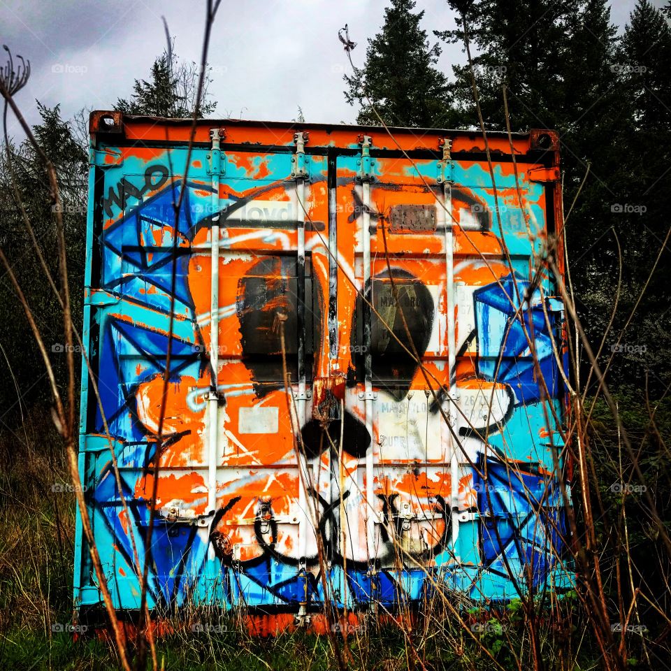 Skulls and boxcars 