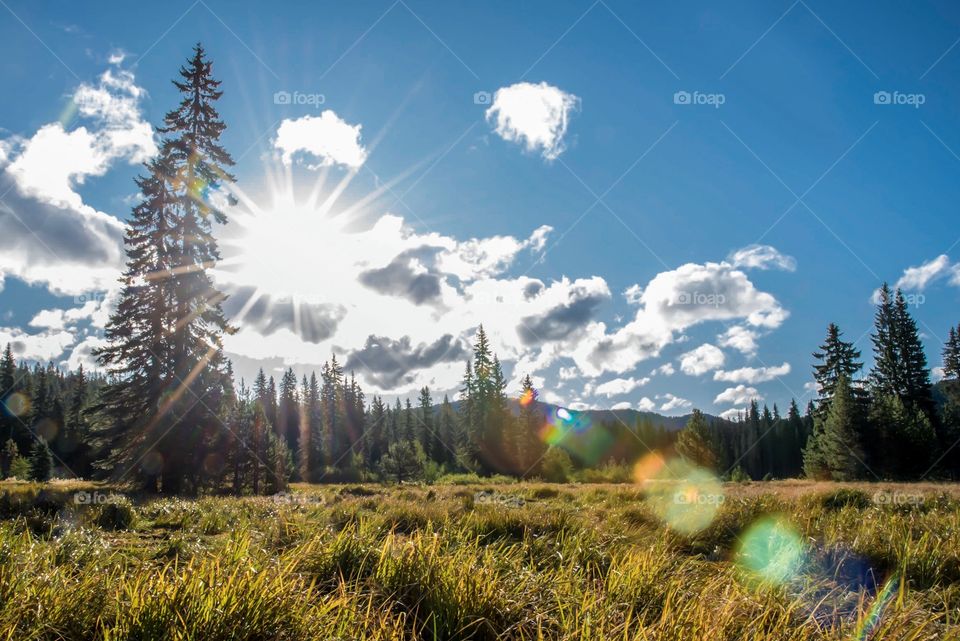 Morning sun in the Hood Mountain region of Oregon
