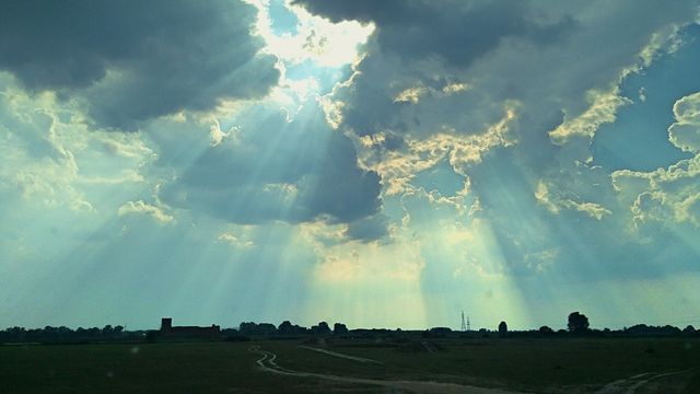 light