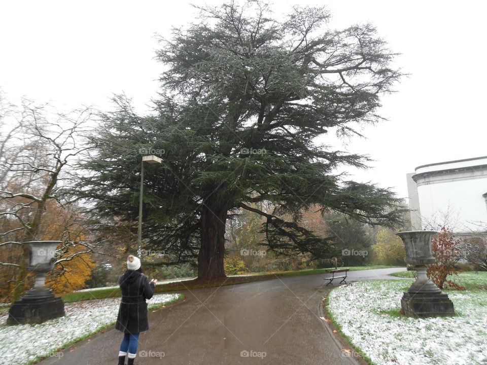 Parc de Mariemont , la Louvière