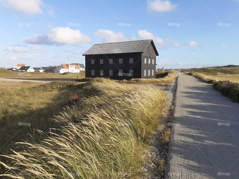 enjoy the Danish community