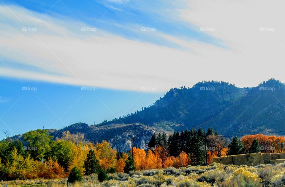 Colorful Trees Next to the Mountain "Smoke on the Mountain"