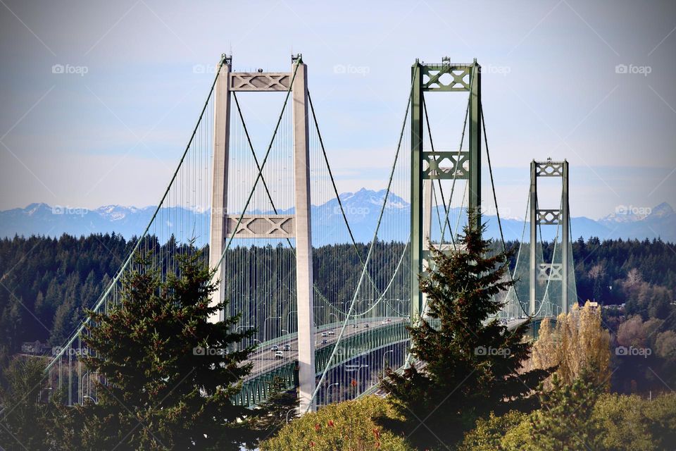 The Tacoma Narrows Bridge is beautiful in form and functionality, framing the majestic Olympic Mountain Range