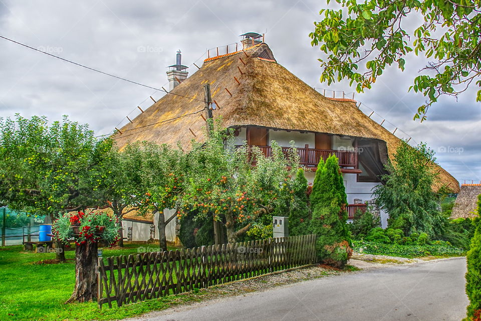 Large typical house with thatched roof and garden with apple trees in eastern Slovenia
