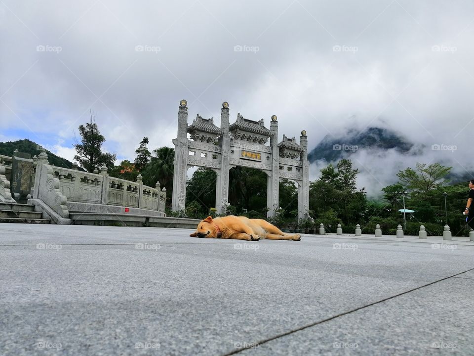 A dog peacefully napping at a plaza right outside the monastery arch entrance.