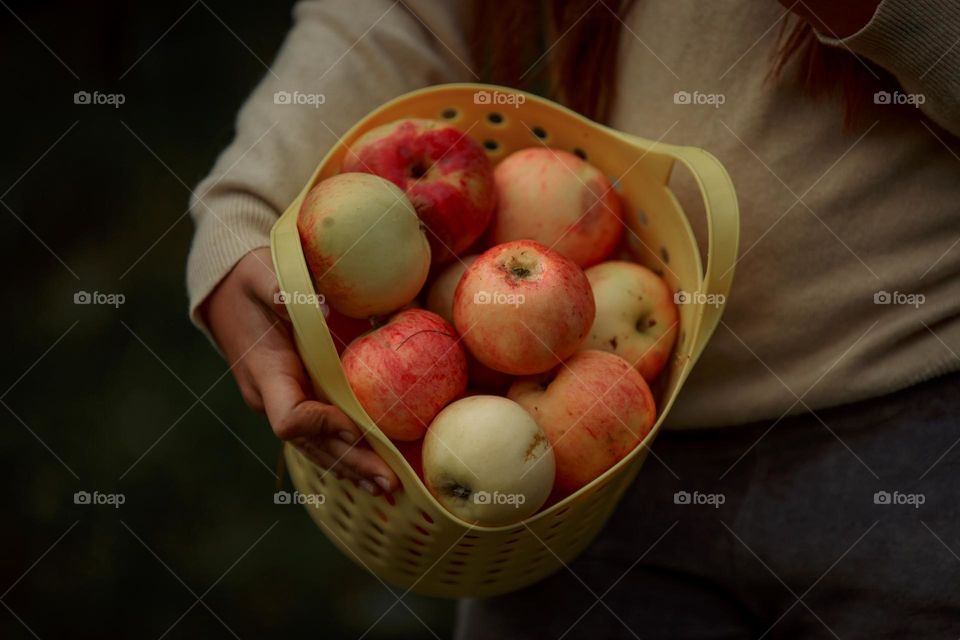 Long-haired girl with basket of apples