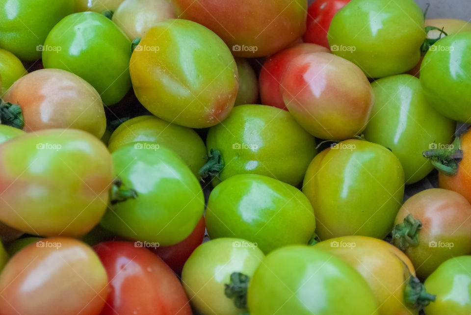 Tomatos