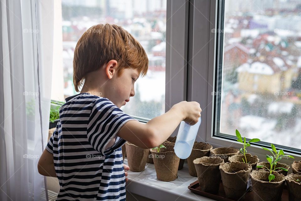 Children watering selling on the window 