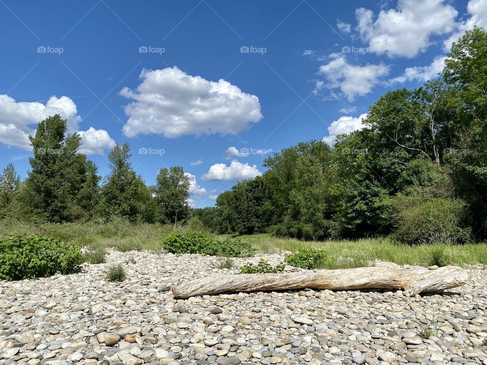 water landscape grass and clouds 