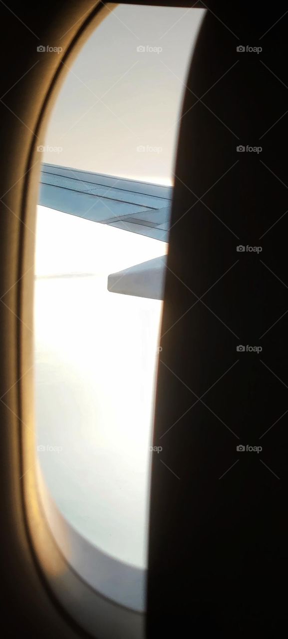 spread your wings around the world to explore entirely enthusiastic .
We are each of us angels with only one wing, and we can only fly by embracing one another.