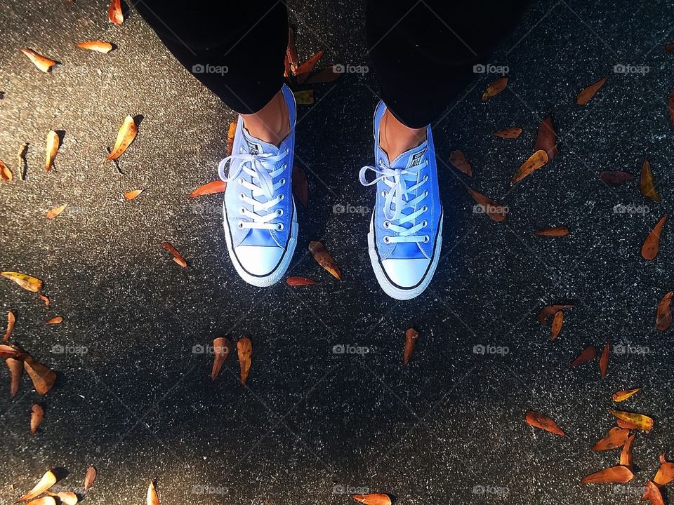A pair of Converse sneakers walking down a leaf strewn path