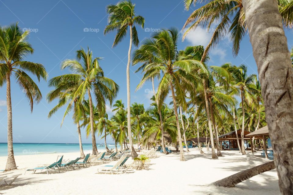 Dominican Republic sunny sandy ocean coast