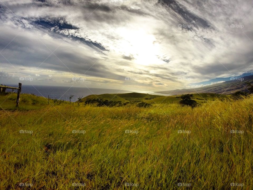 Maui Backcountry 