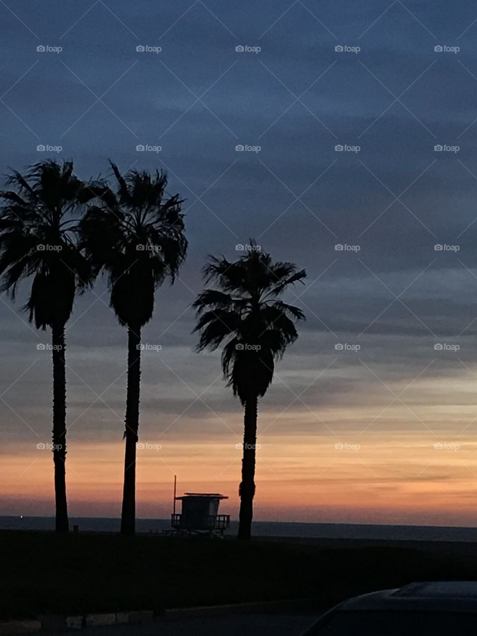 Sunset in Venice Beach 