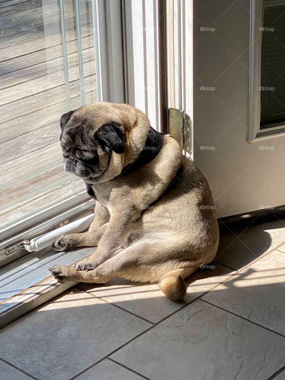 Photography started out as a hobby of mind and has grown into somewhat of a passion. I love sharing my work with others and I love that this platform allows photographers to receive praise and recognition for their work. I hope you enjoy my photos!