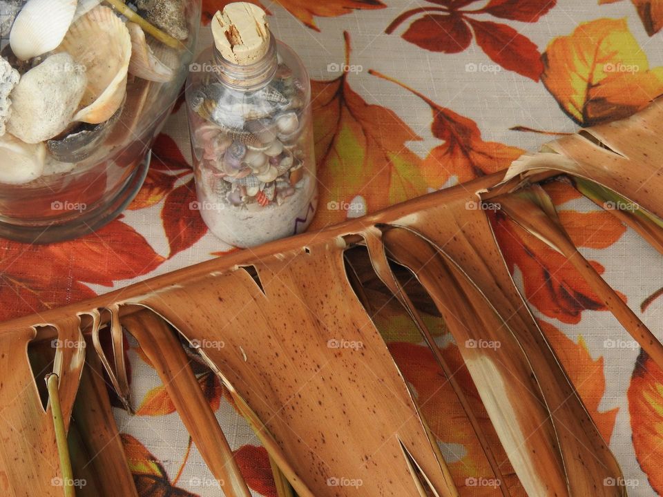 Autumn fall decor and cloth with orange drawings of leaves, vase and seashells in a bottle and dry palm leaves branches on a step during camping by a tent.