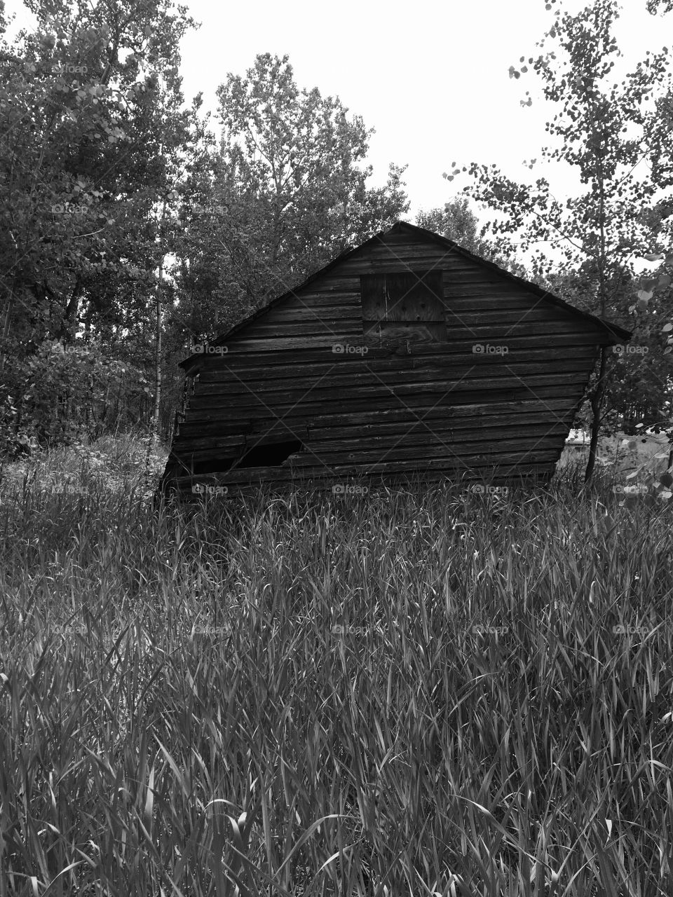 Shed on the farm 
