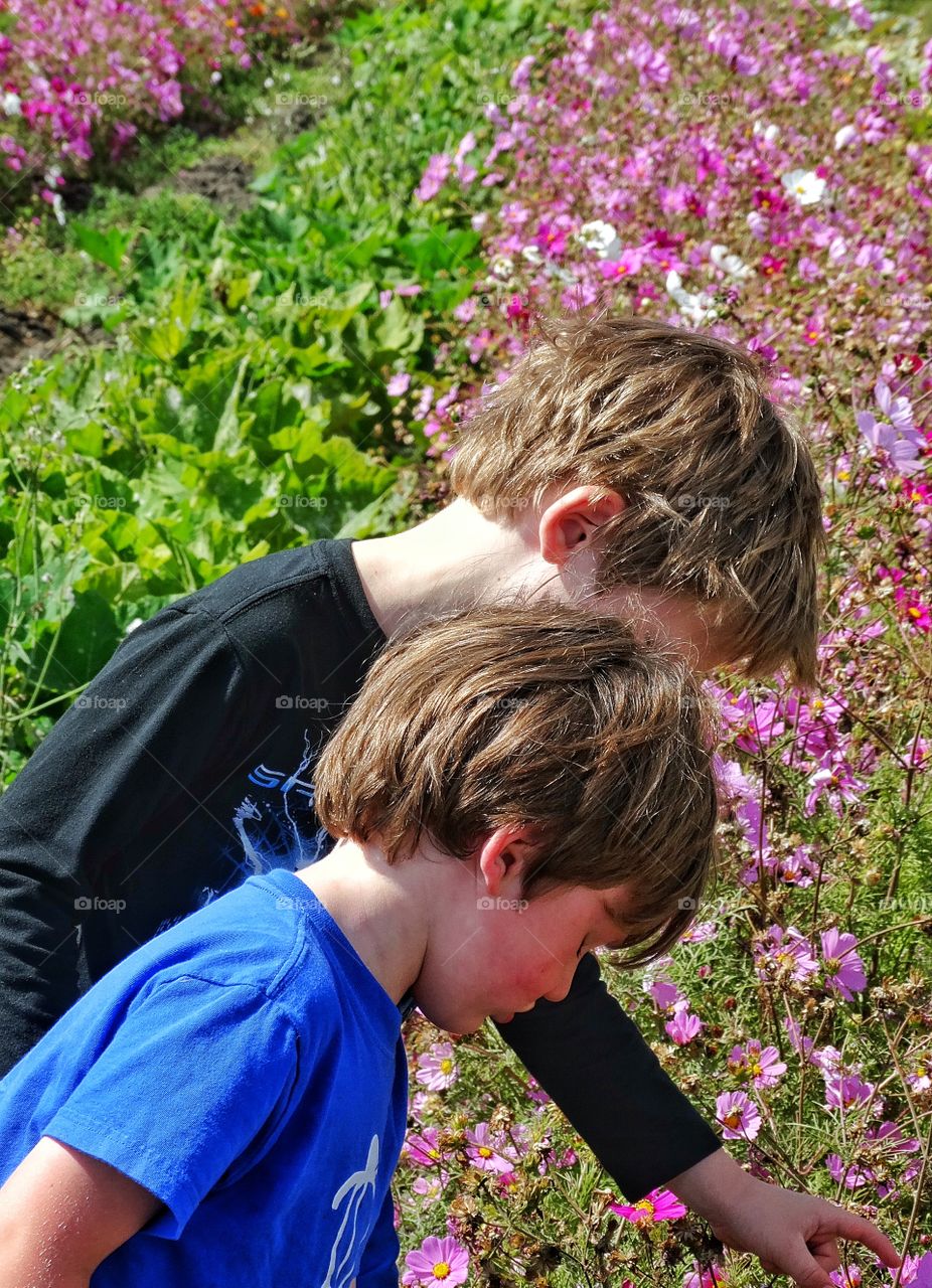Two Young Boys With Flowers. Young Brothers In A Garden In California Wine Country
