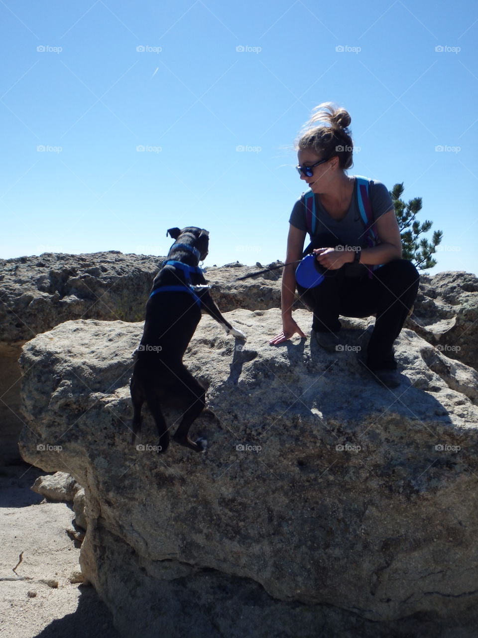 Female hiker with dog on rock