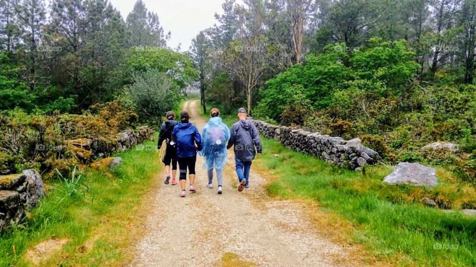 Hiking. Caminho de Santiago, Spain