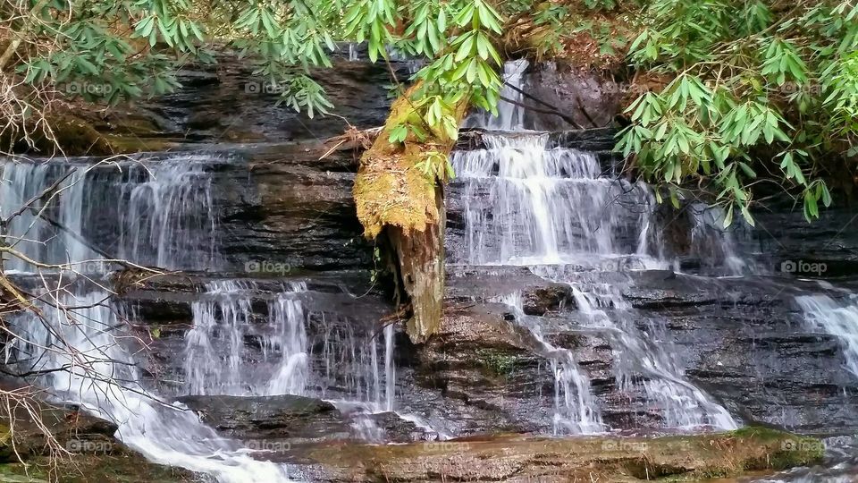 Fall creek in South Carolina