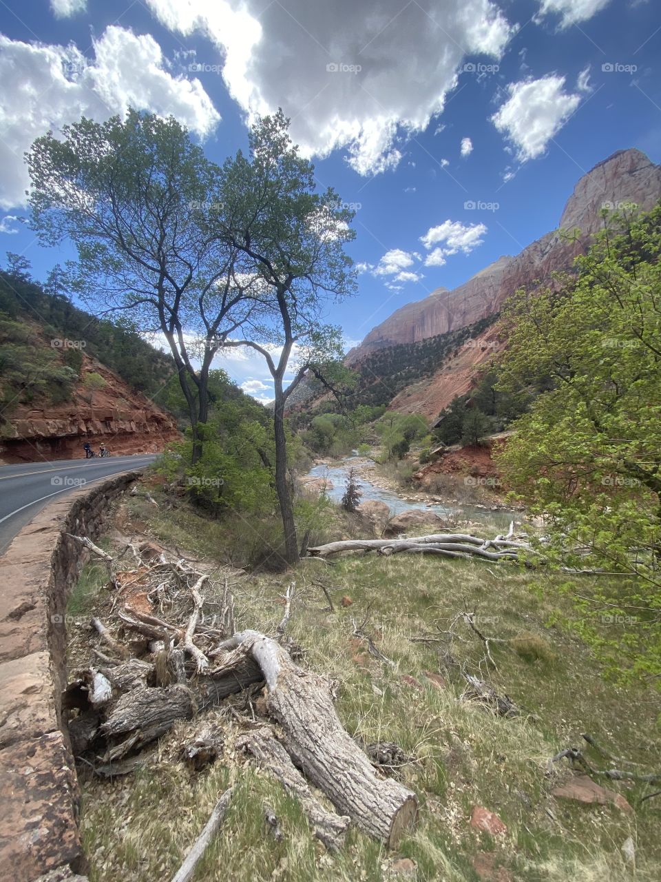 Zion National Park 