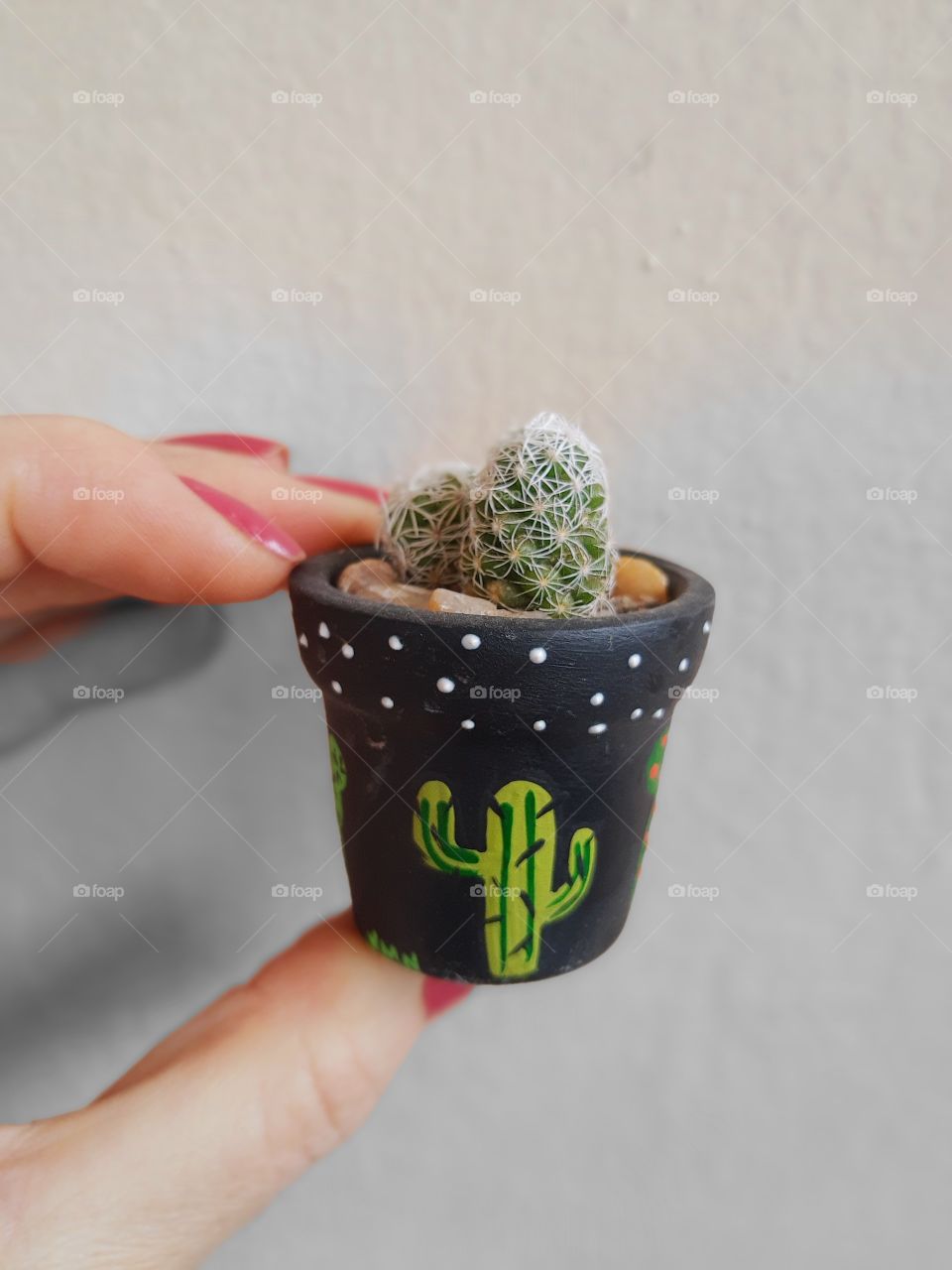 minicactus