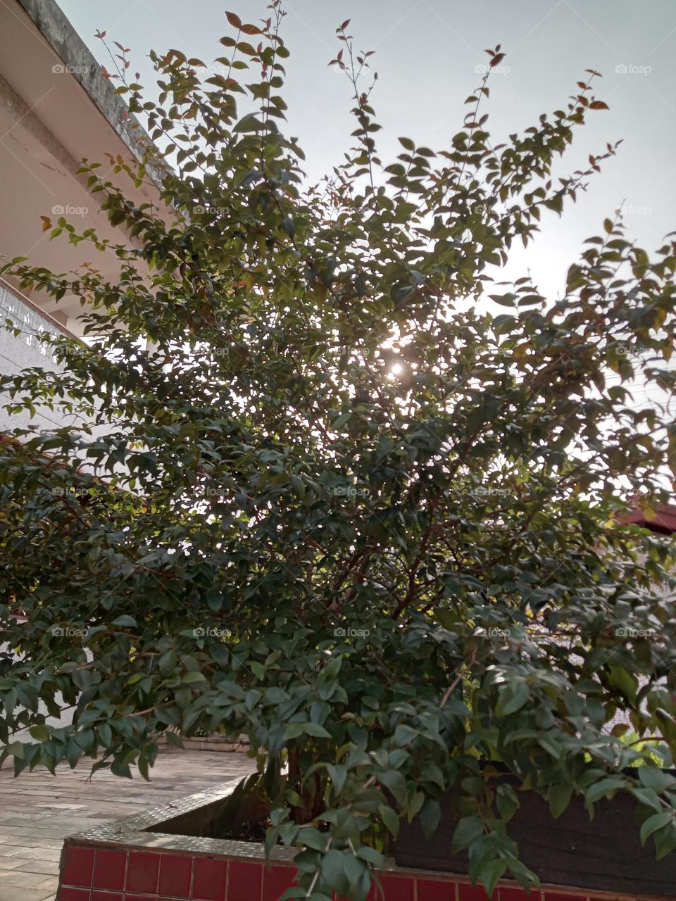 see, breathe and feel