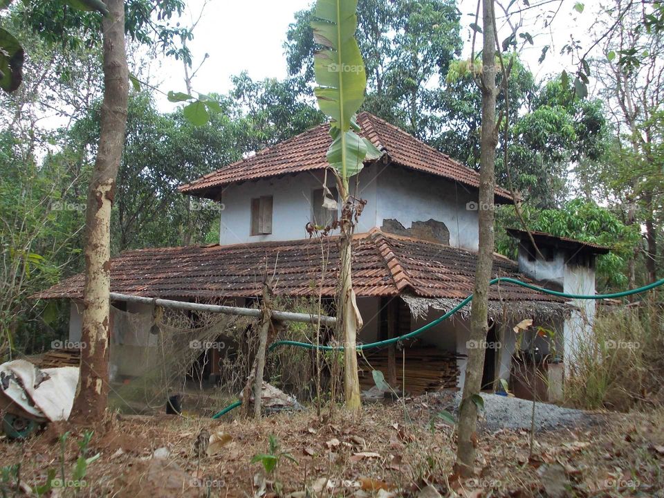 Kerala's tredishanal home