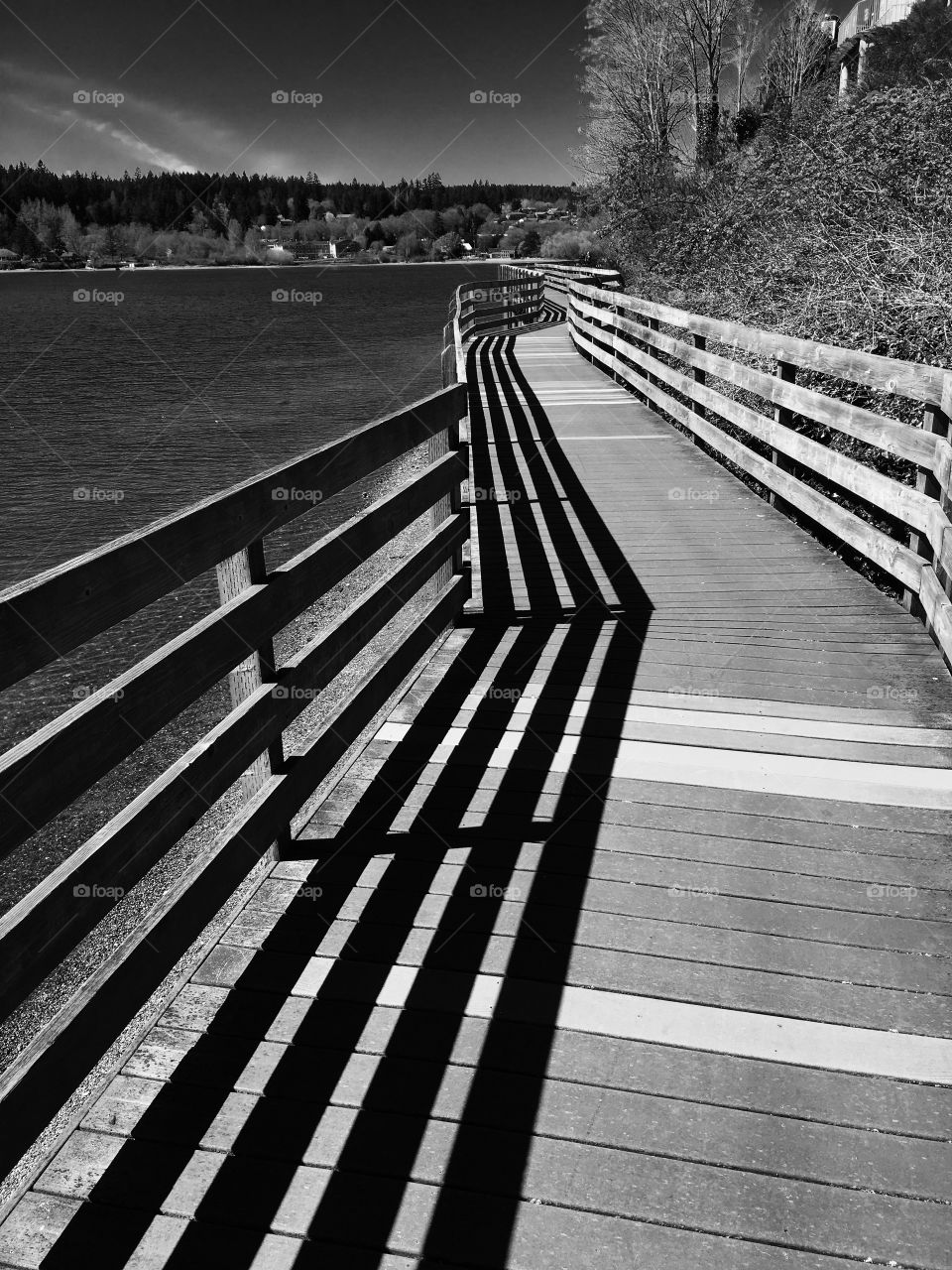 Empty pathway near sea