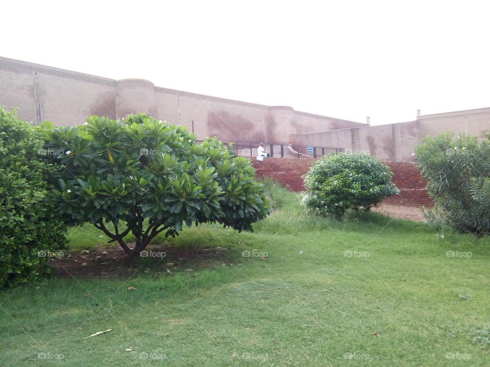 an ancient fort of Bathinda city- a monument protected by Govt Of India- inner part