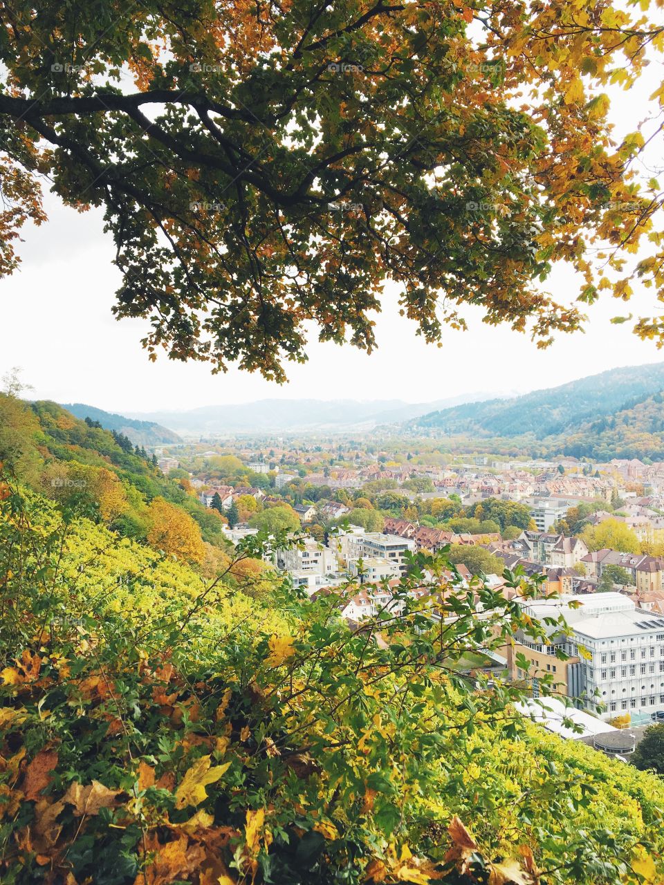 freiburg panorama